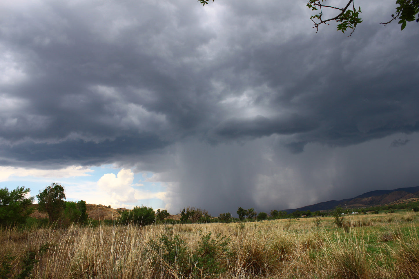 News from the Conservation Farm - Monsoon Season Updates