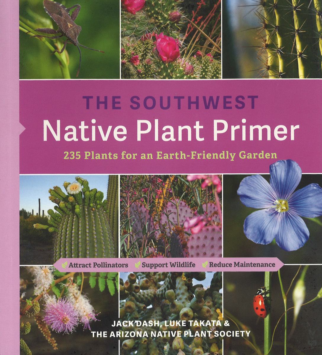 The Southwest Native Plant Primer NativeSeedsSearch