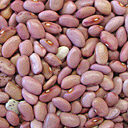 Hopi Pink Bean