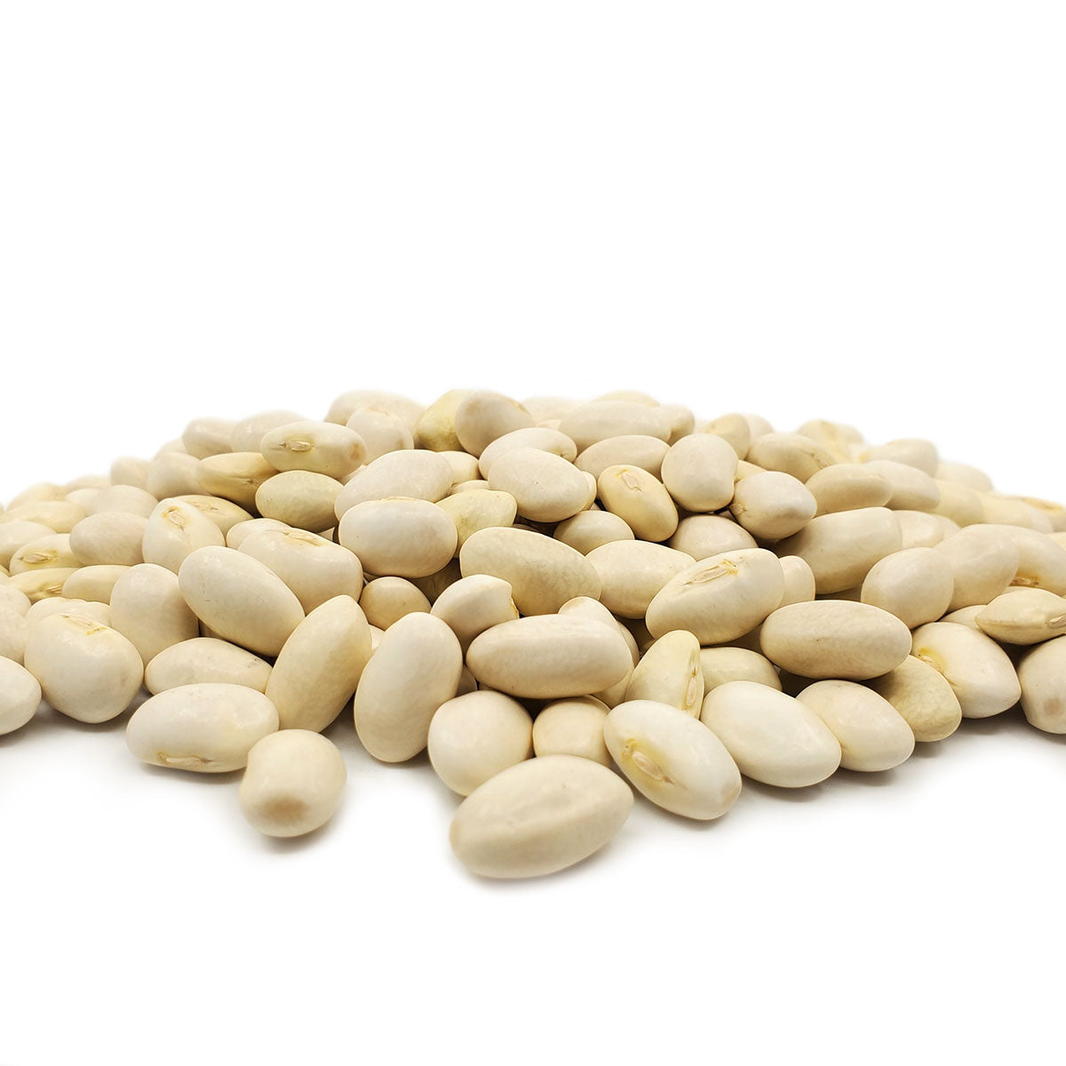 White Bordal/Mortgage Lifter Beans