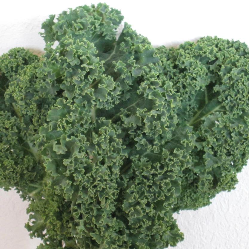 Dwarf Siberian Kale.. Winter hardy and good for small gardens.