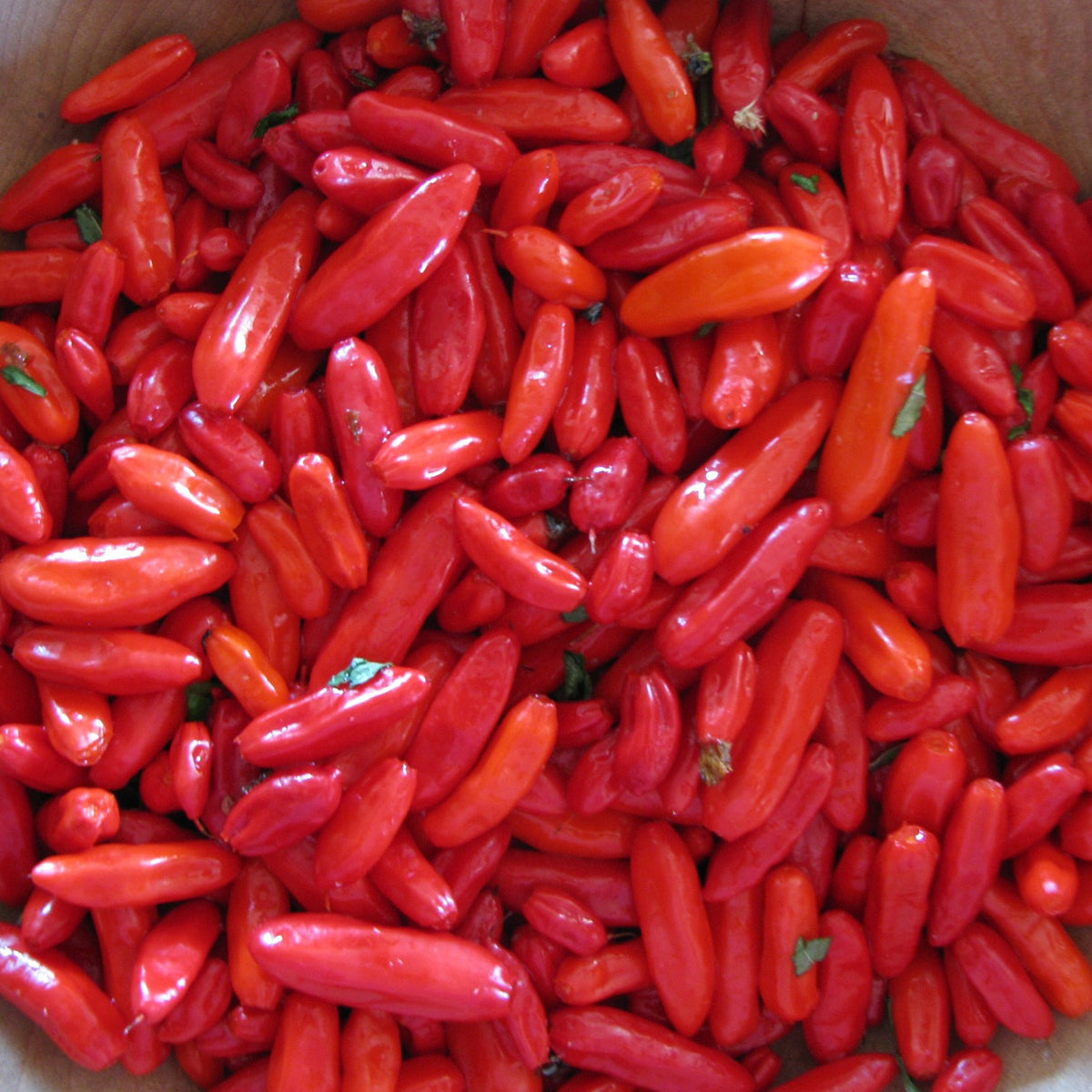 Tabasco_1200x1200.jpg?v=1660678203