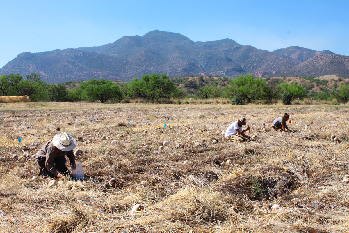 News from the Conservation Farm: Apprentice Updates