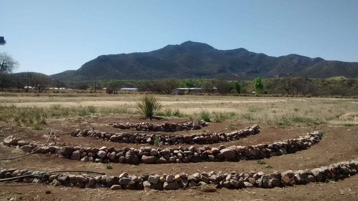 Updates from the Conservation Farm: Spring Growout