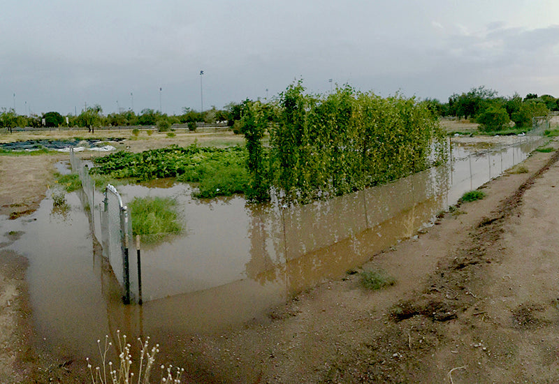 Irrigated Dry Farming