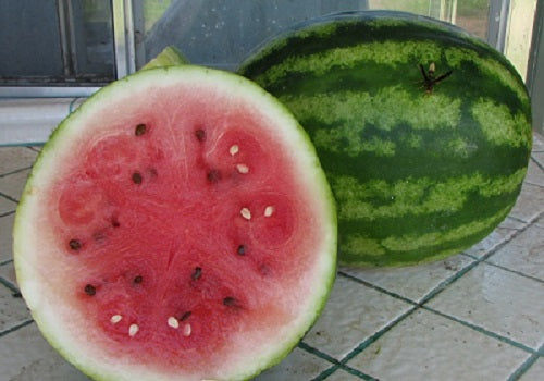 A Sweet Sign of Summer: Rare Watermelons Are Back