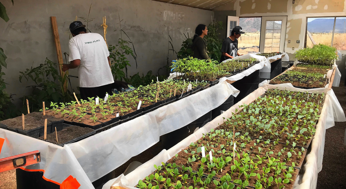 Trip Report: Supporting Native Farmers – Native-Seeds-Search