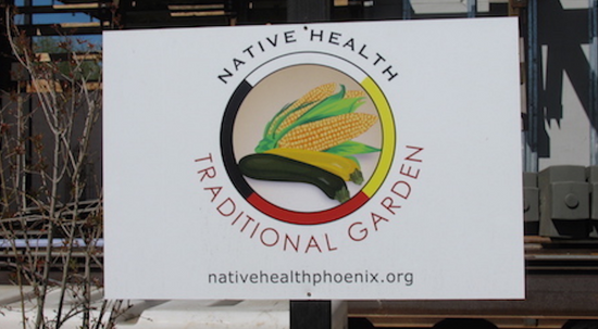 Trip Report: Native Health Traditional and Community Gardens