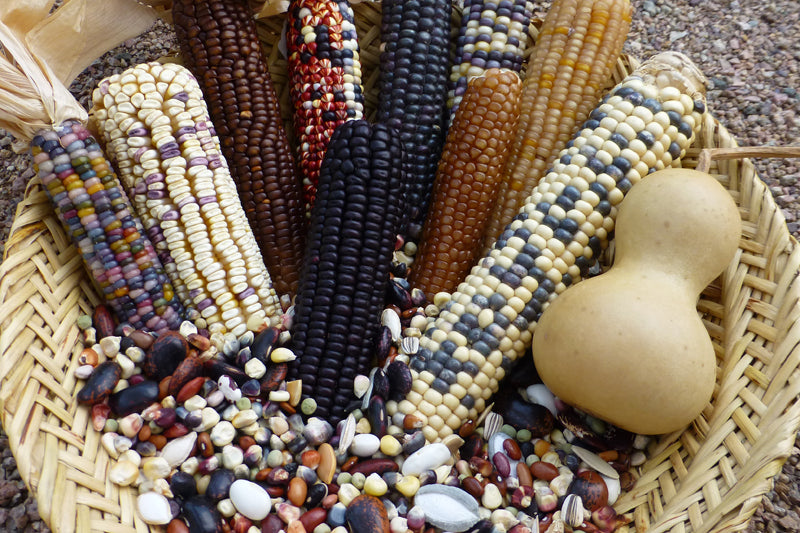 Teaching With Seeds