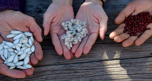 People and Seeds