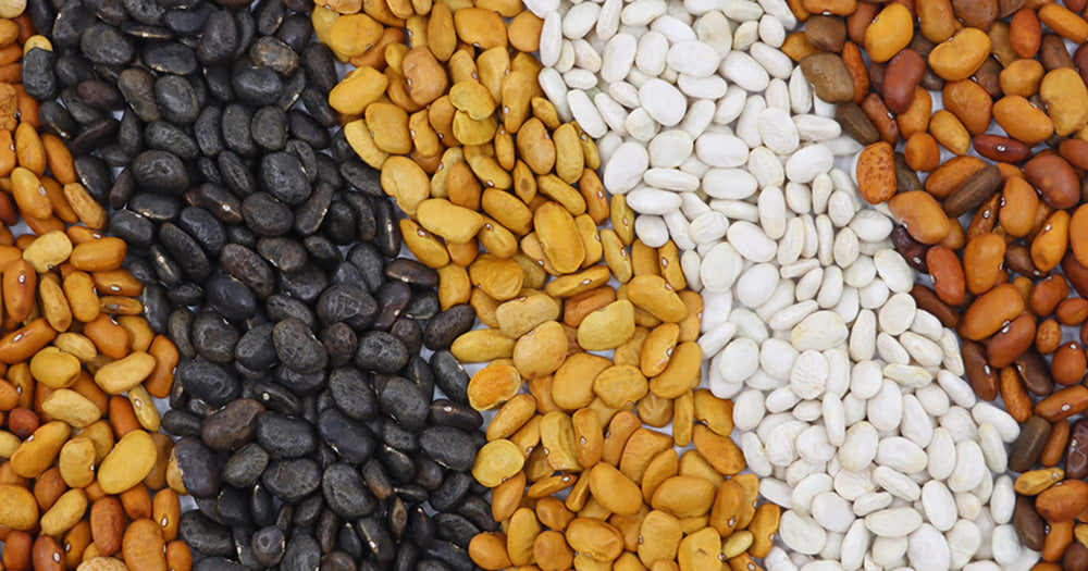 native seeds search aridadapted heirloom seeds from the southwest