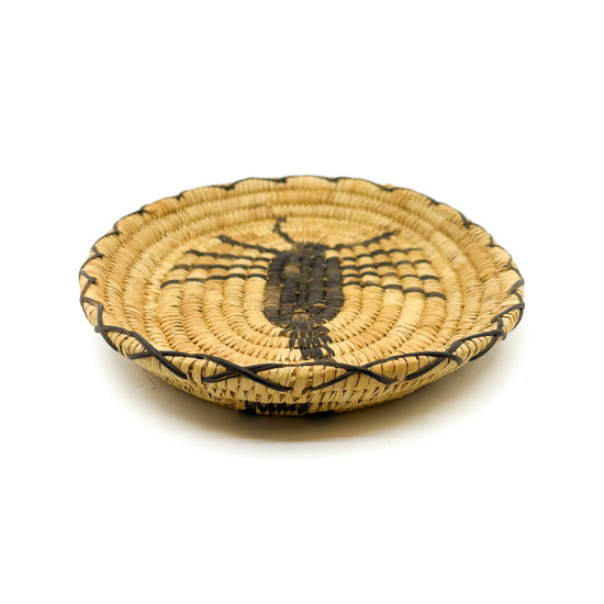 Vintage Desert Scorpion Oval Basket Tray