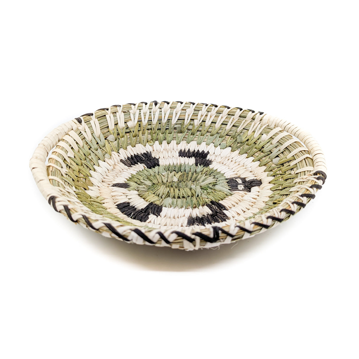 Oval Plate: Turtle detail - Tohono O'Odham