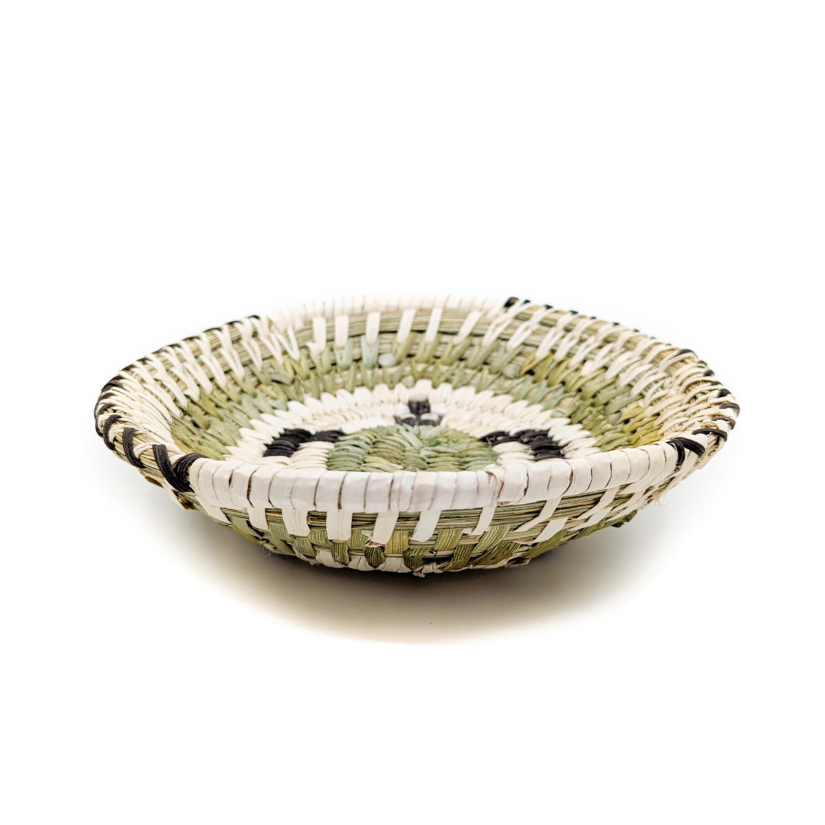Oval Plate: Turtle detail - Tohono O'Odham