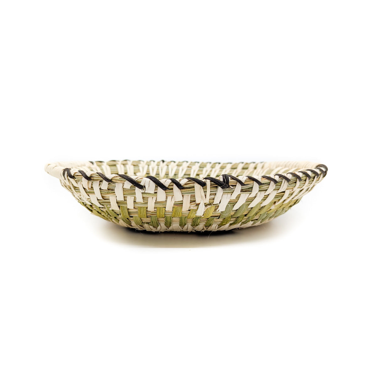 Oval Plate: Turtle detail - Tohono O'Odham