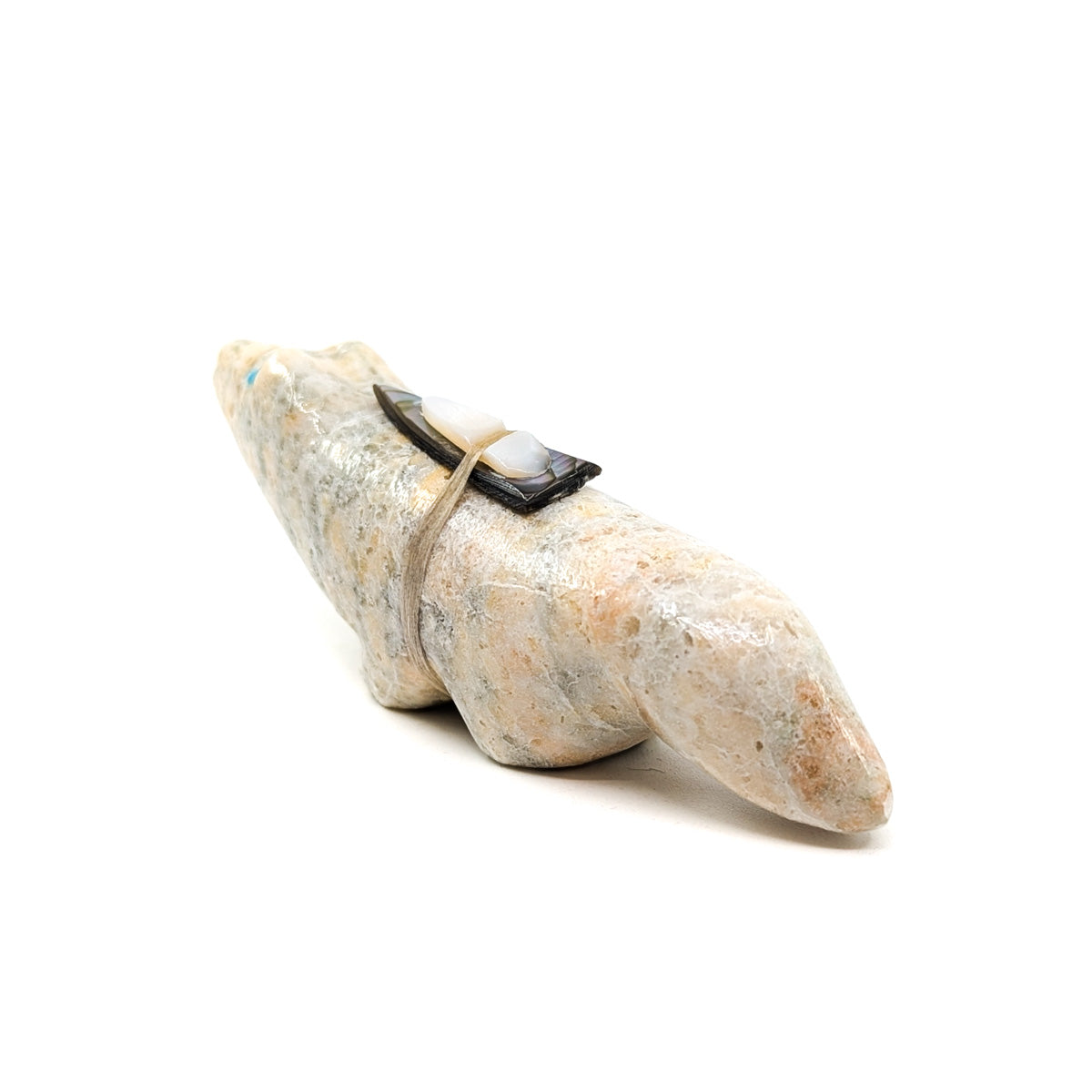 Badger with Turquoise Eyes and Shell Bundle