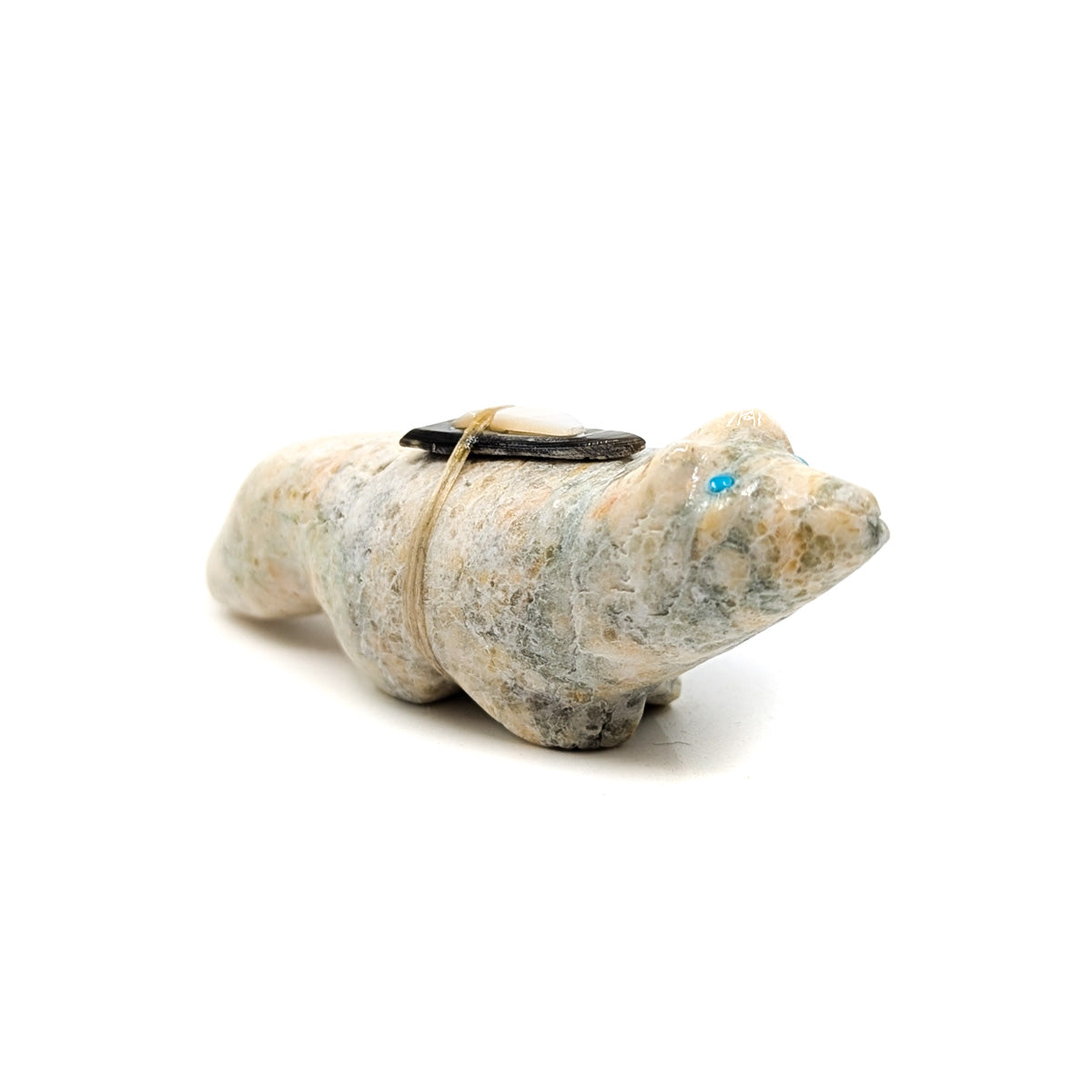 Badger with Turquoise Eyes and Shell Bundle