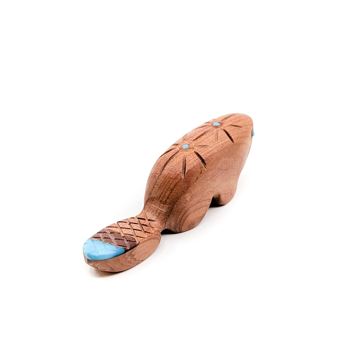Cedar Beaver