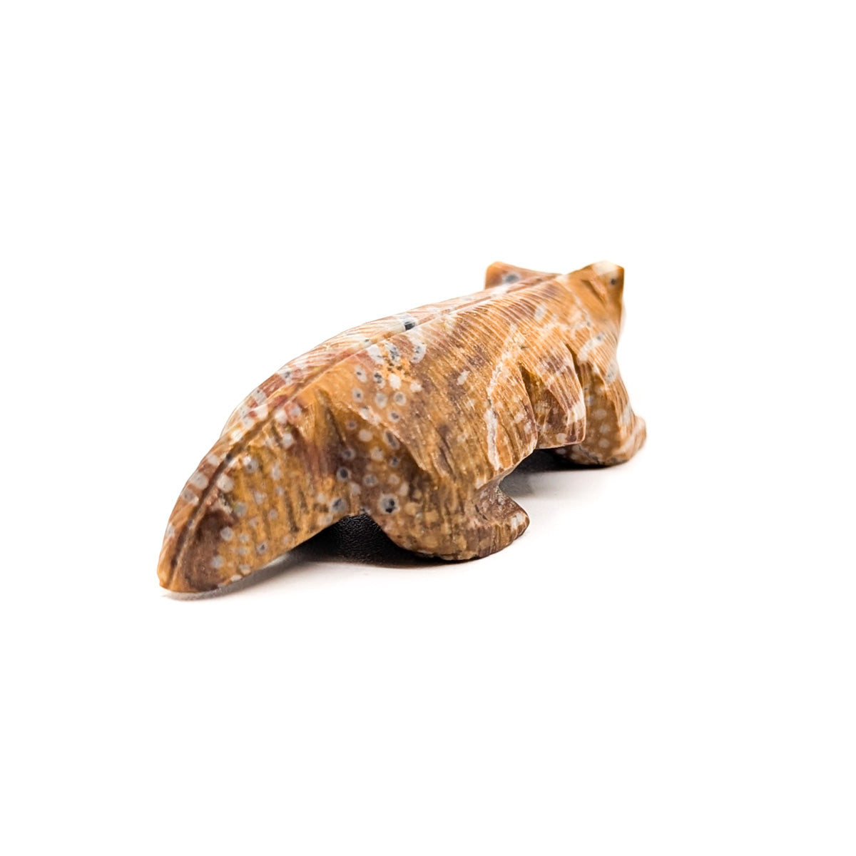 Jasper Badger with Turquoise Eyes