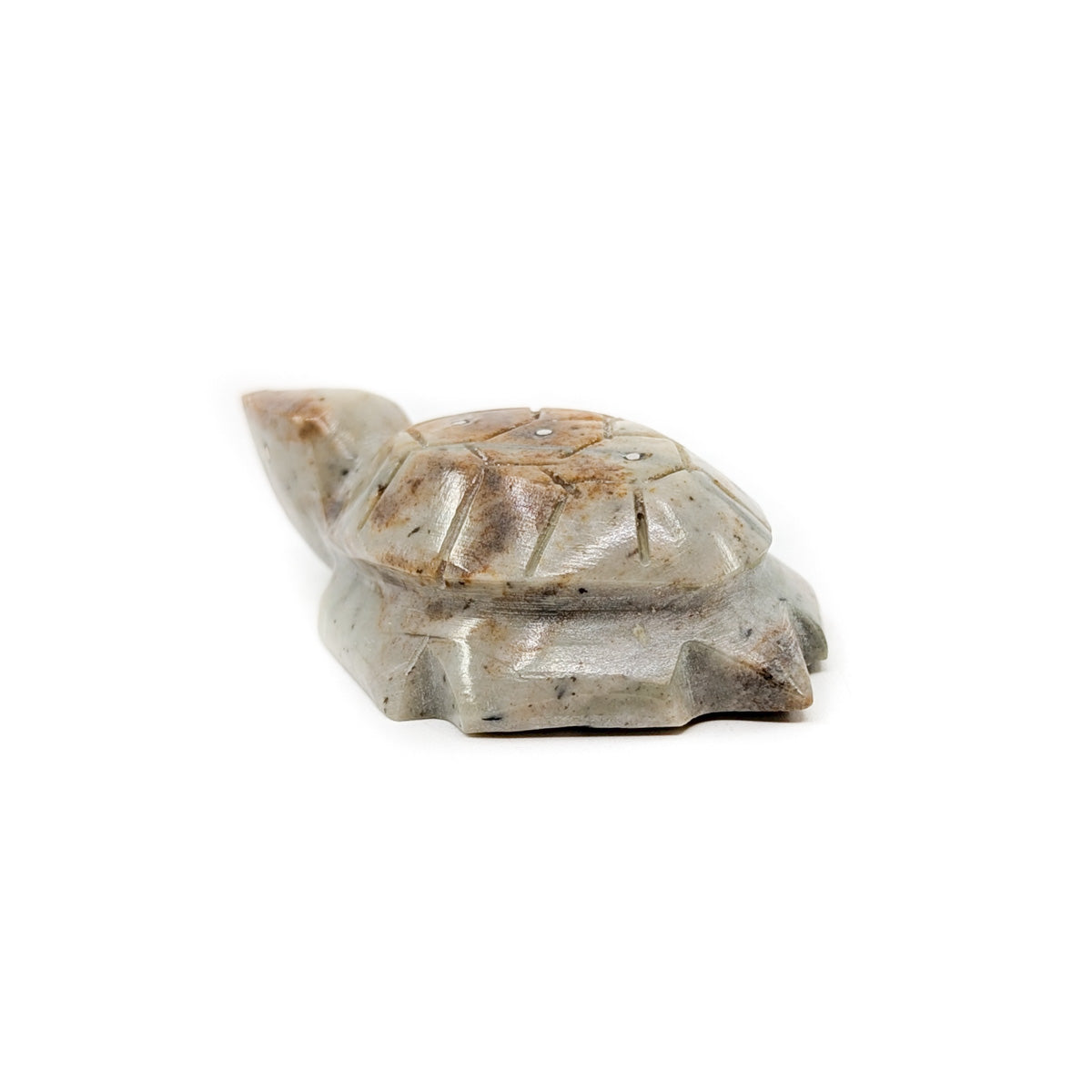 Turtle with Carved Shell by Kenny Chavez