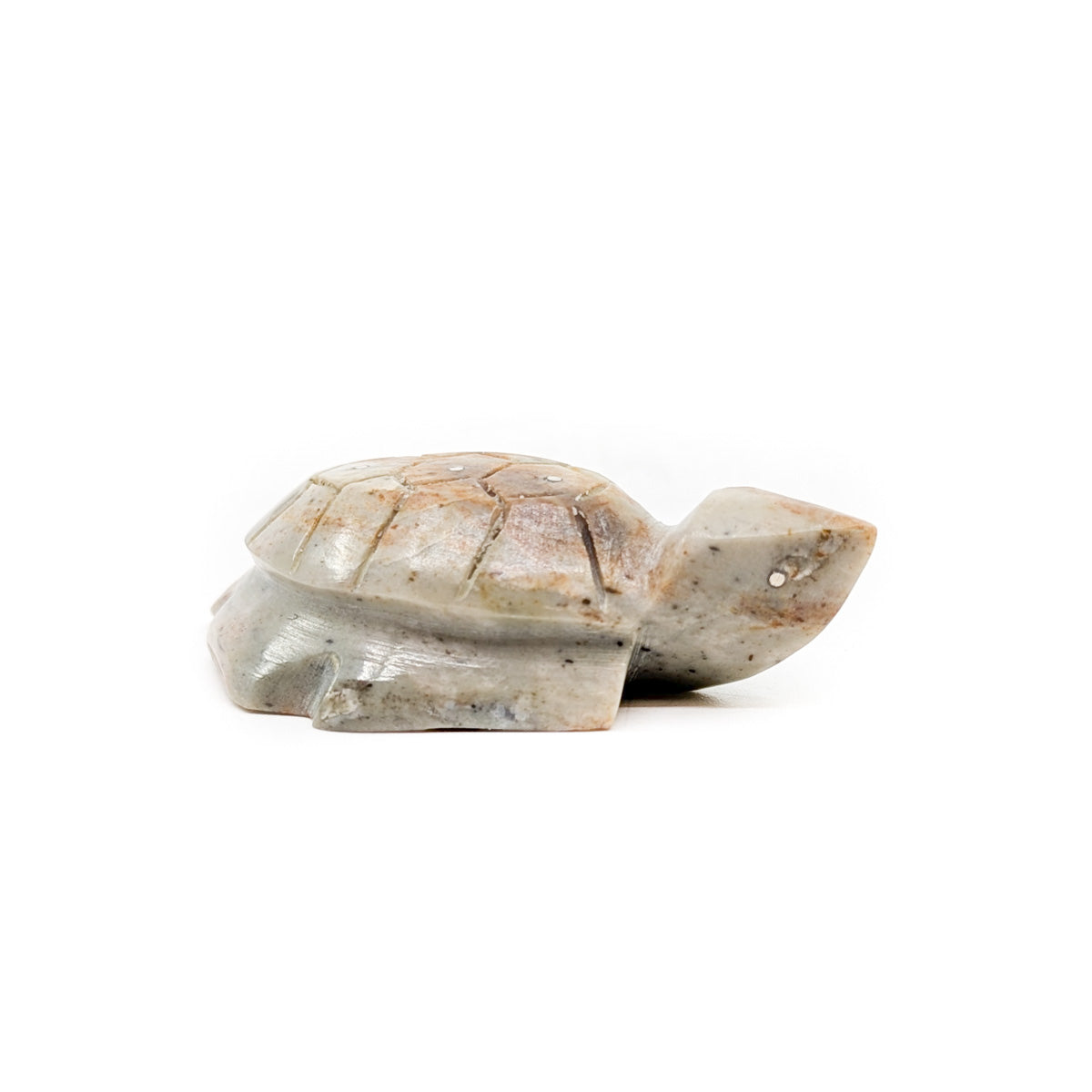 Turtle with Carved Shell by Kenny Chavez