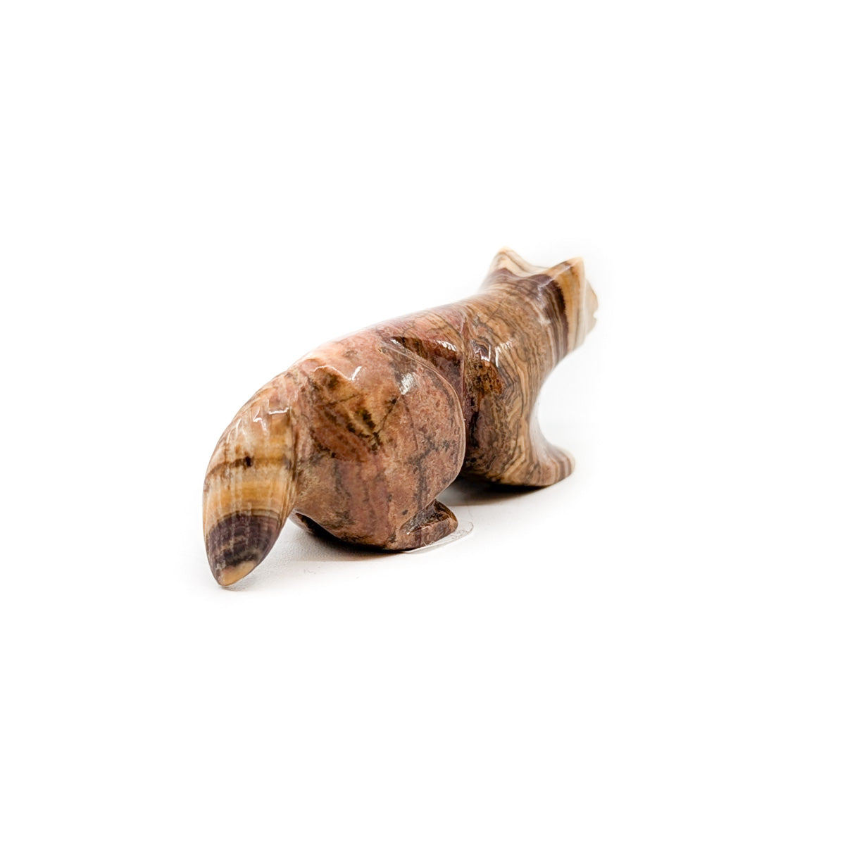 Miniature Mountain Lion by Loubert and Rosella Soseeah
