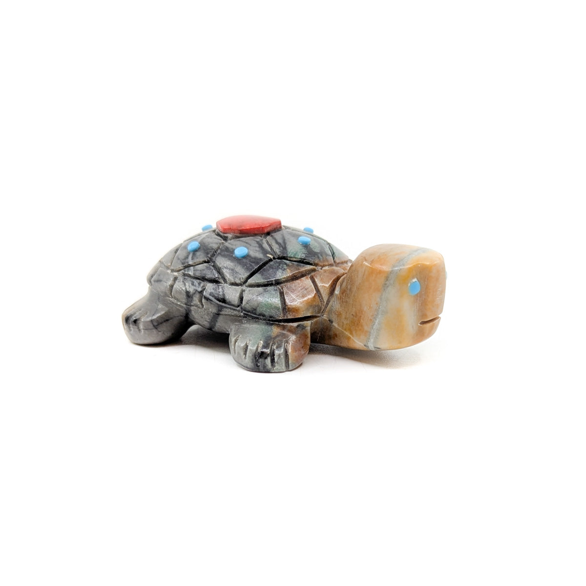 Turtle with Turquoise Detail