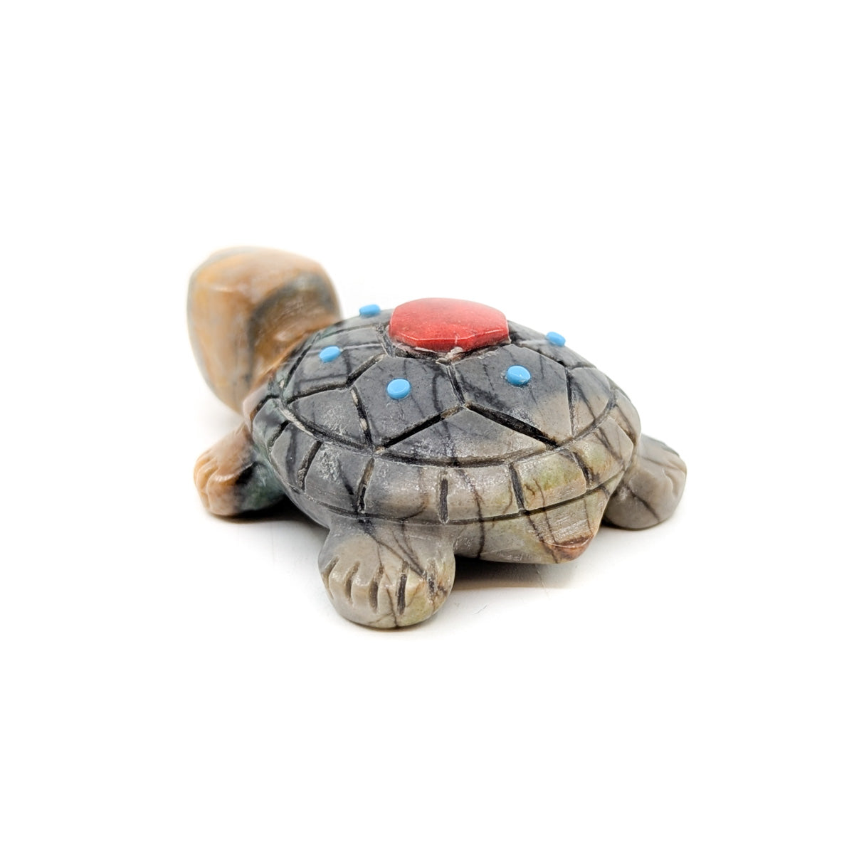 Turtle with Turquoise Detail