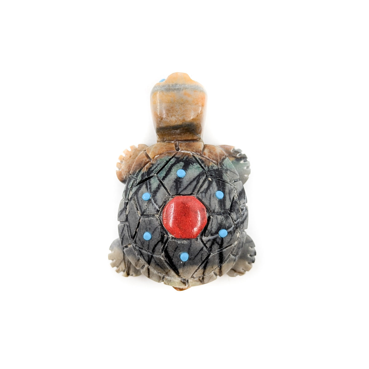 Turtle with Turquoise Detail