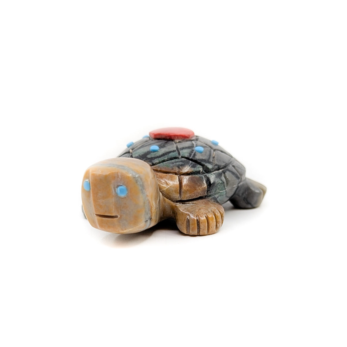 Turtle with Turquoise Detail
