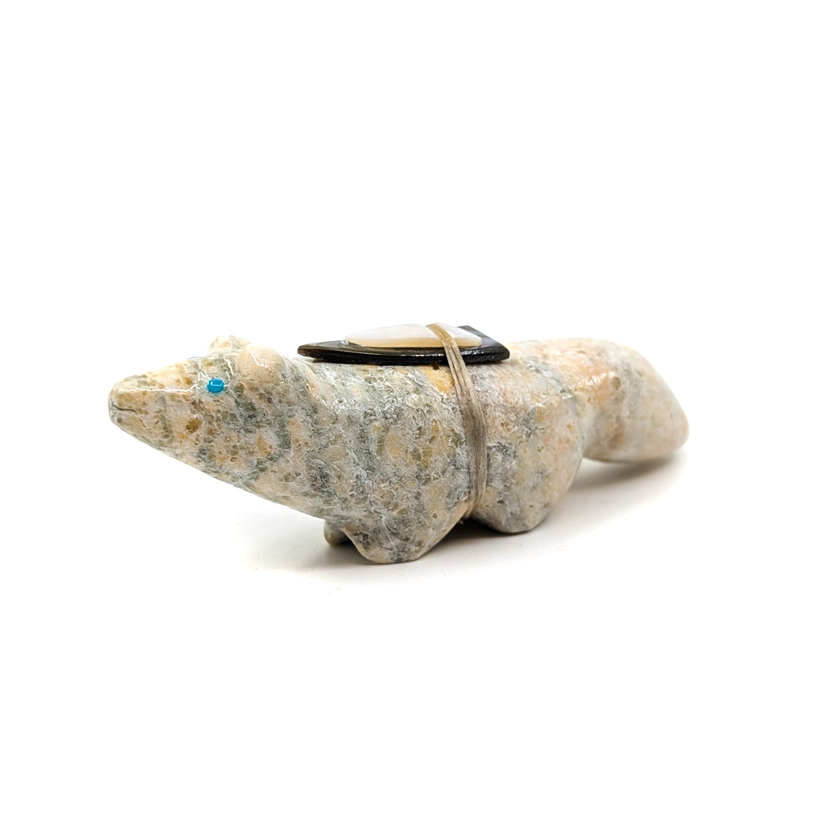 Badger with Turquoise Eyes and Shell Bundle