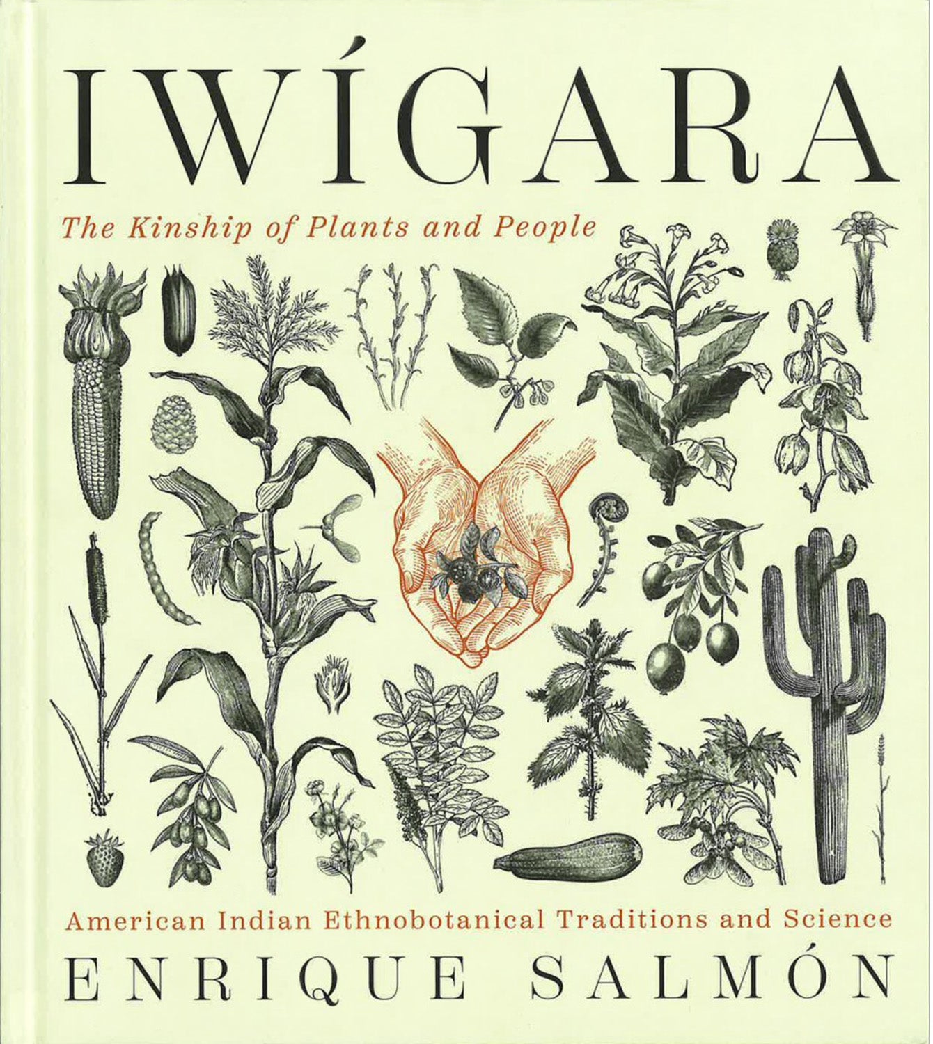 Iwigara, Enrique Salmon