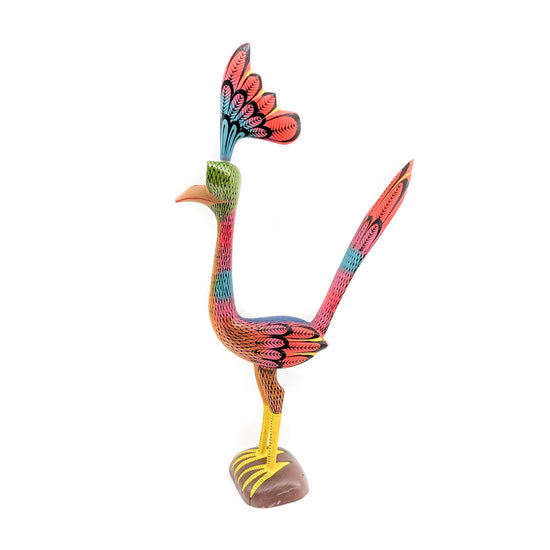 Whimsical Roadrunner