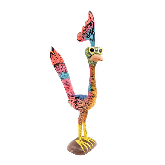 Whimsical Roadrunner