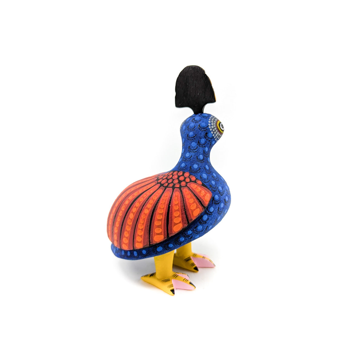 Bright Blue Quail with Orange Wings and Golden Top Knot