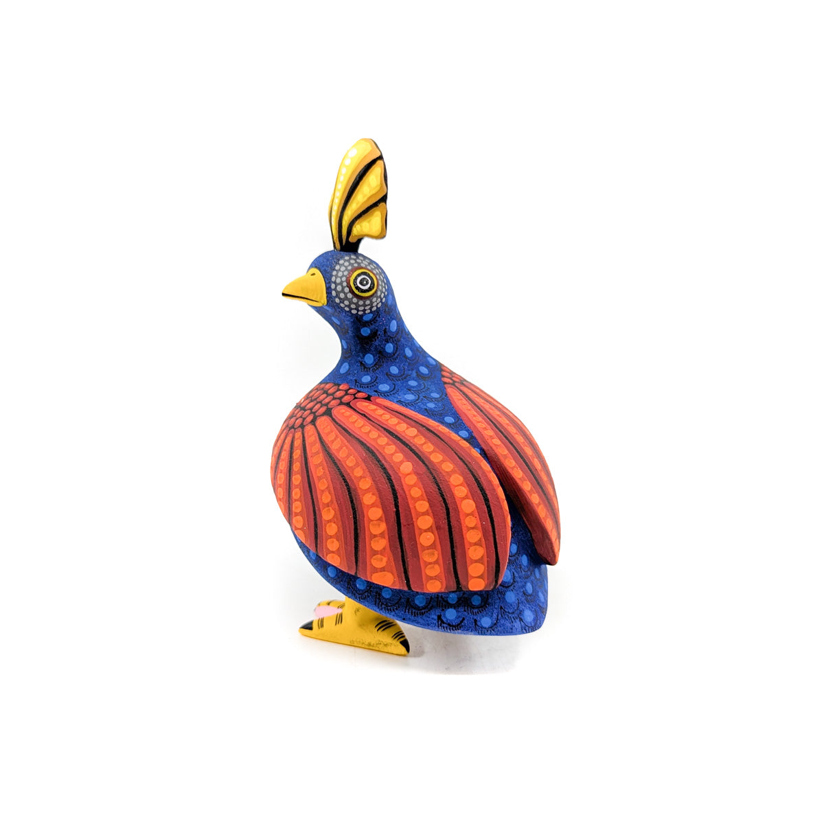 Bright Blue Quail with Orange Wings and Golden Top Knot
