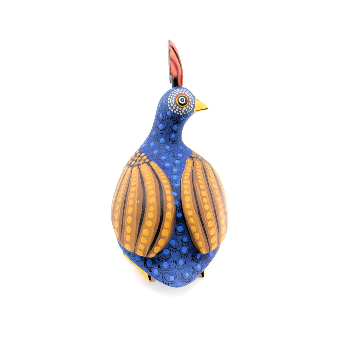 Dark Blue Quail with Golden Wings Orange Top Knot