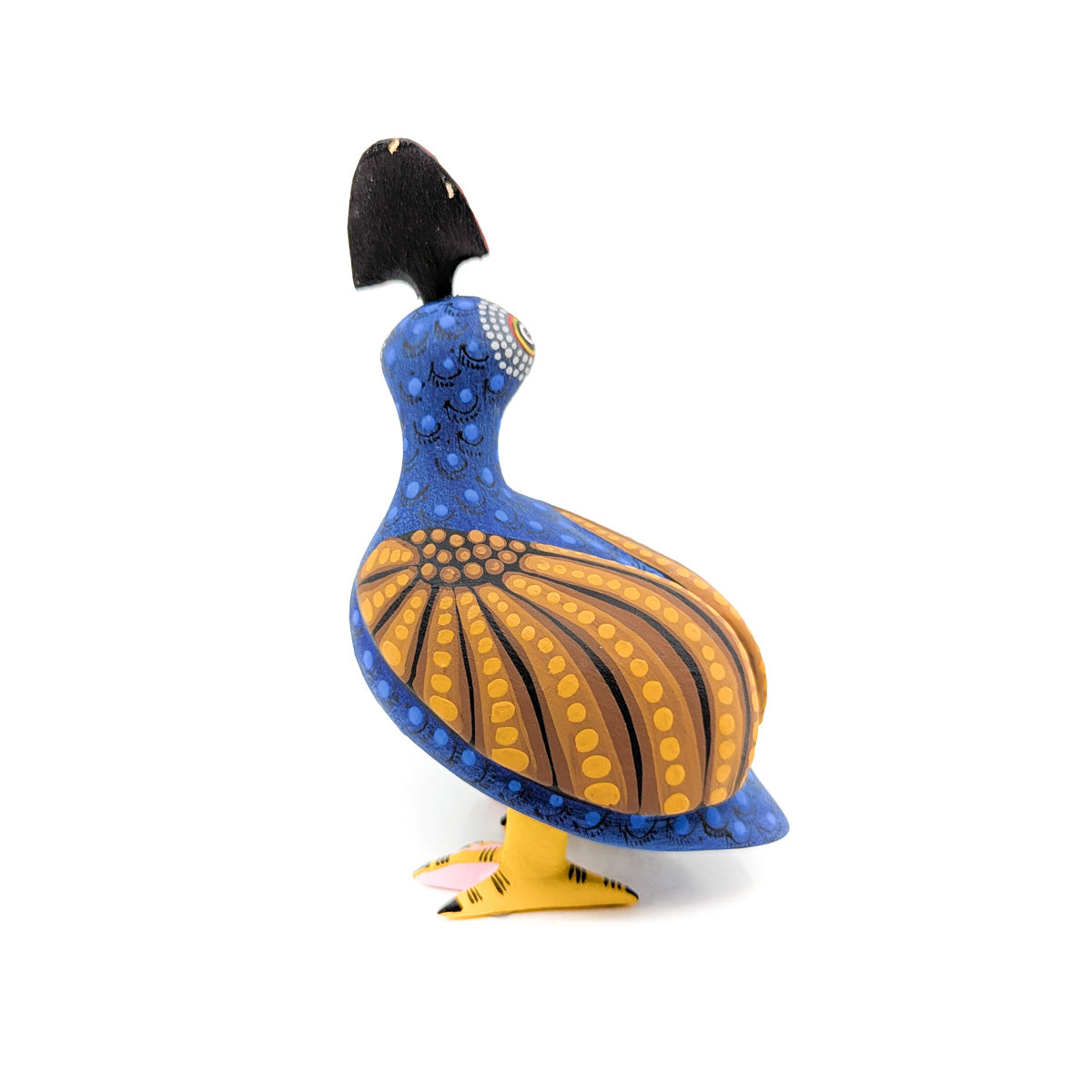 Dark Blue Quail with Golden Wings Orange Top Knot