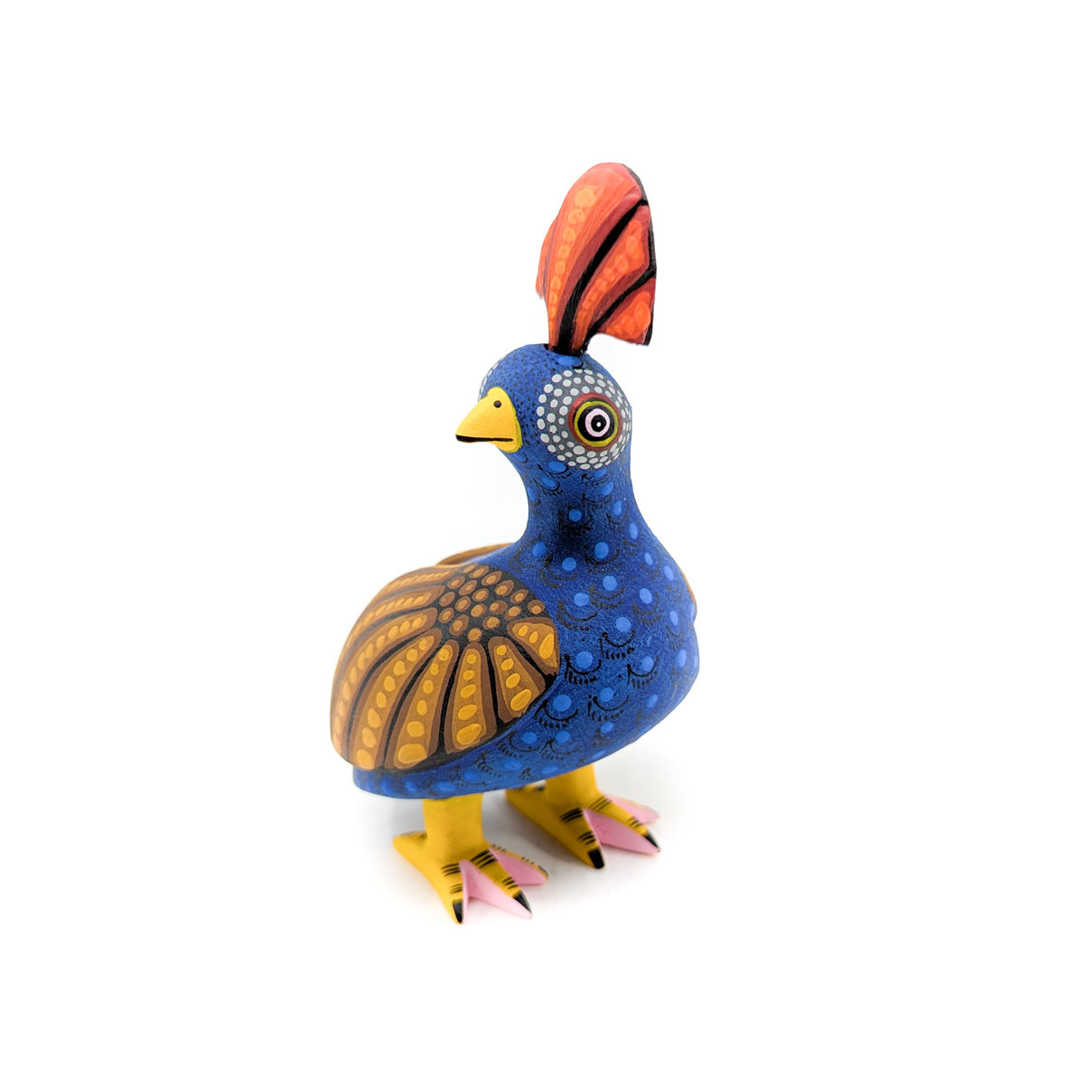 Dark Blue Quail with Golden Wings Orange Top Knot