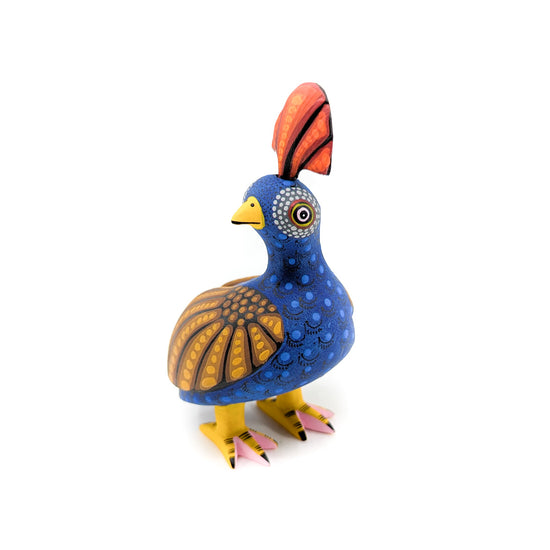Dark Blue Quail with Golden Wings Orange Top Knot