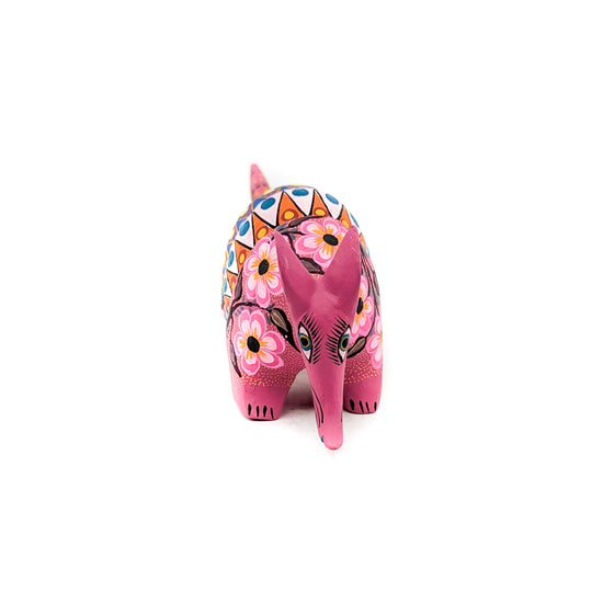 Pretty Pink Armadillo with Flowers and Spots