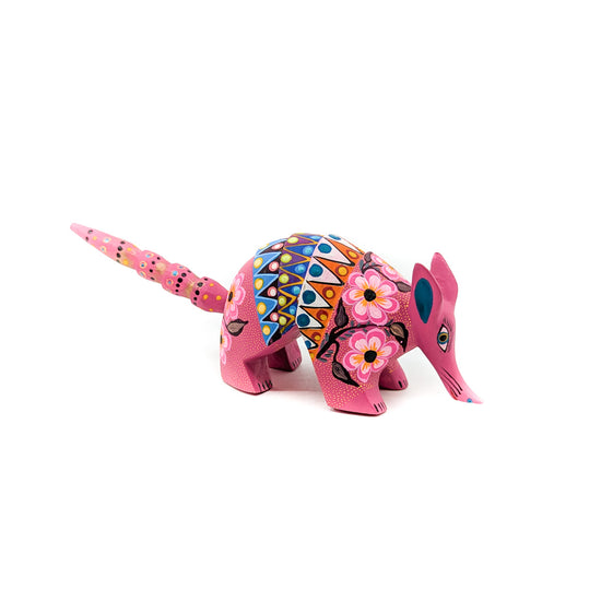 Pretty Pink Armadillo with Flowers and Spots