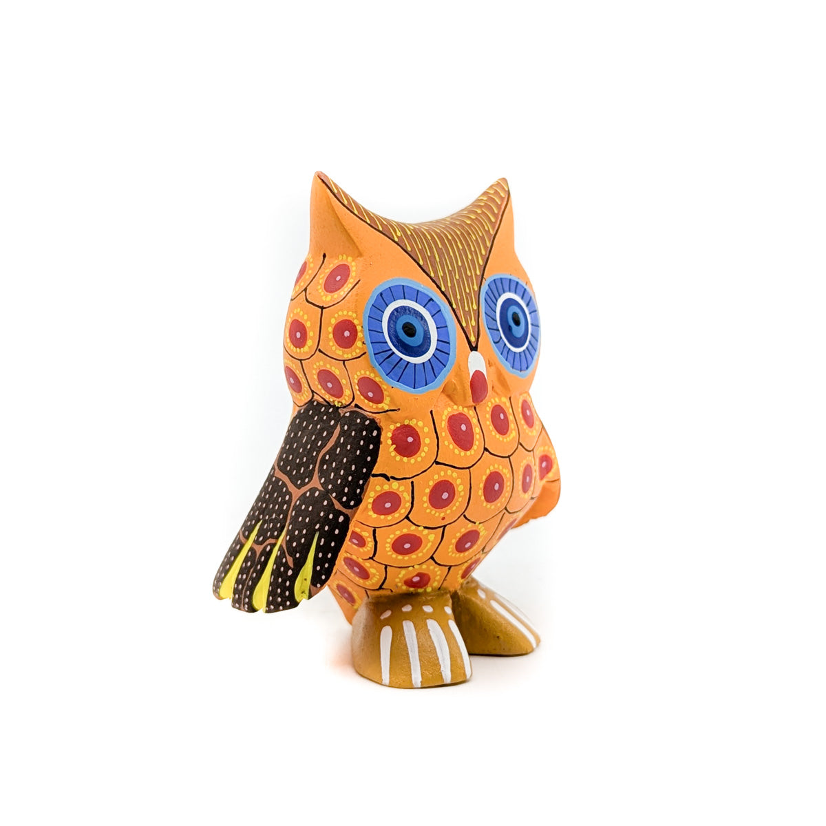 Sunny Little Owl