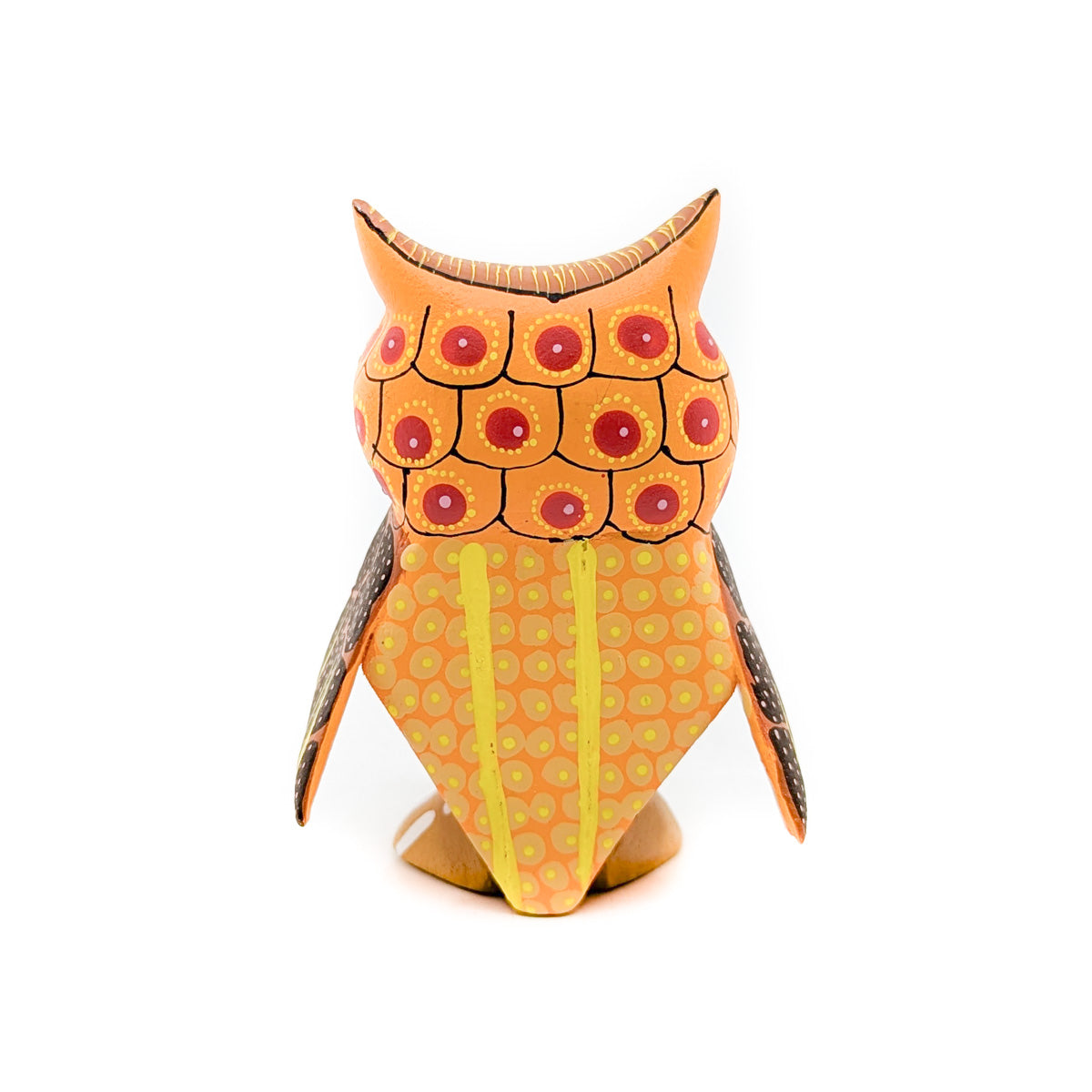 Sunny Little Owl