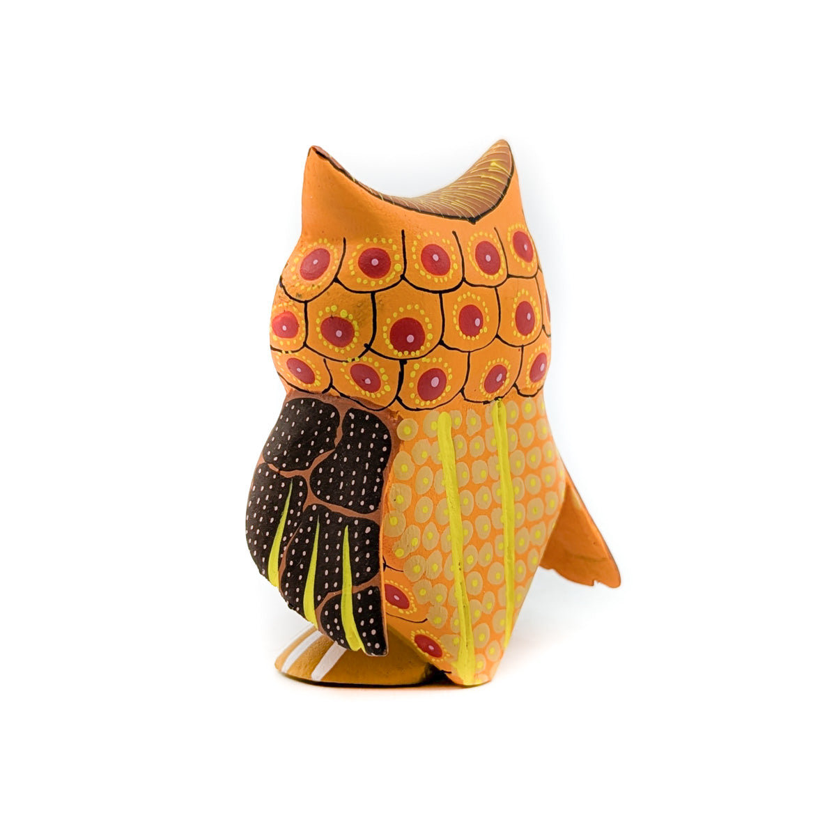 Sunny Little Owl