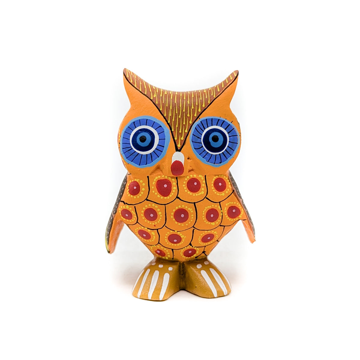 Sunny Little Owl