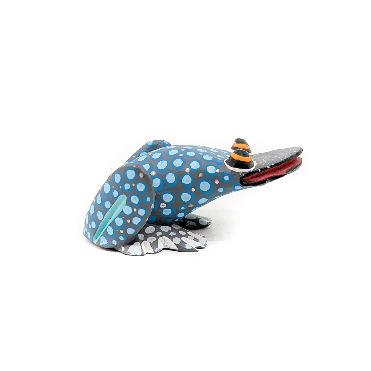 Spotted Teal Frog