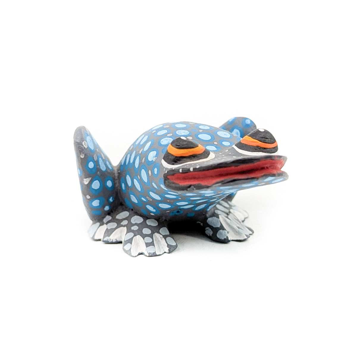 Spotted Teal Frog