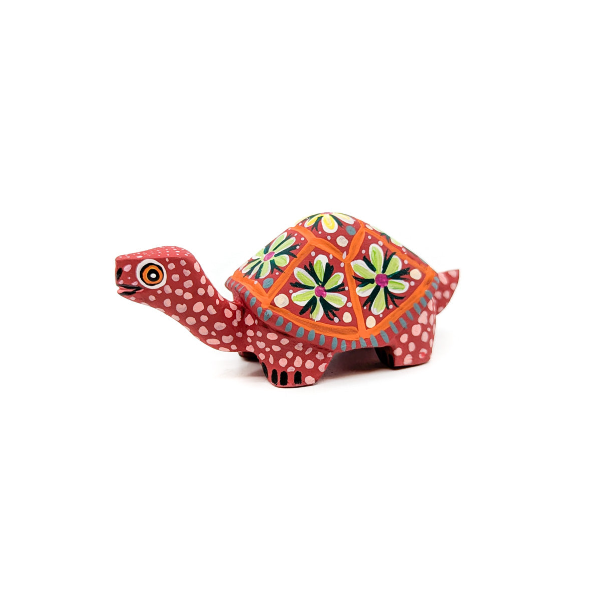 Cute Red Tortoise with Flowered Shell