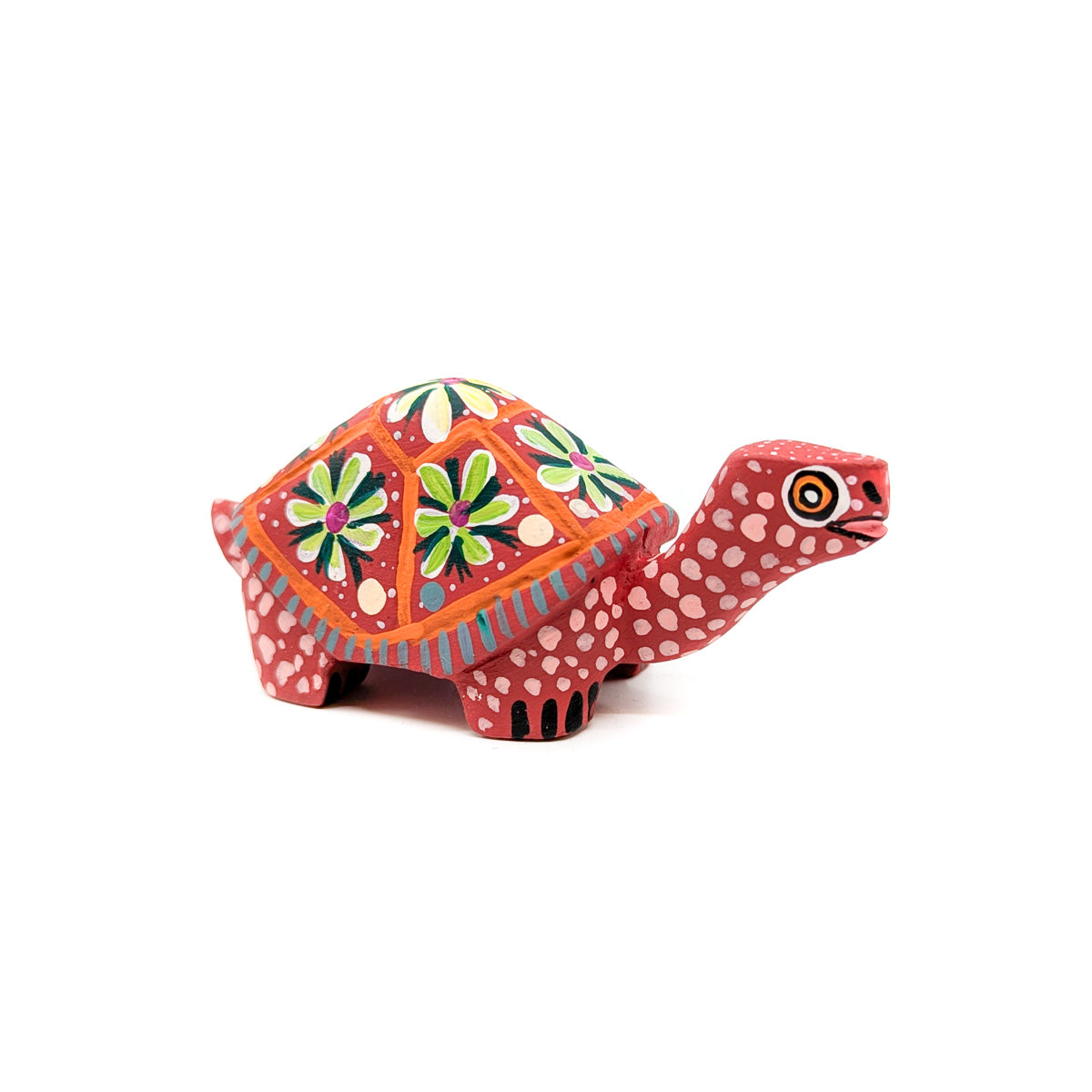 Cute Red Tortoise with Flowered Shell